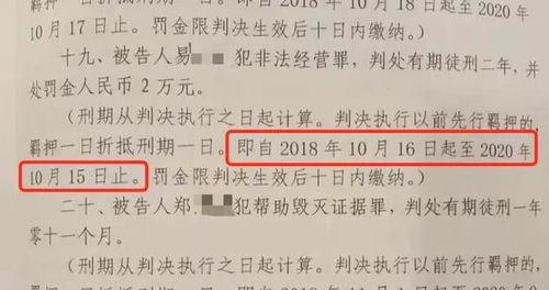 南阳爆料最新新闻视频,视频揭露惊人真相，引发社会关注
