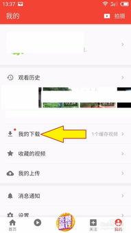 吃瓜爆料短视频大全下载,下载大全带你一网打尽
