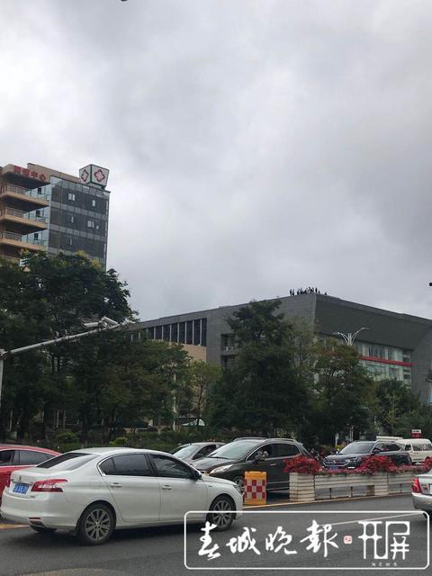 春城晚报新闻爆料热线,聚焦民生,倾听民意 第3张 春城晚报新闻爆料热线,聚焦民生,倾听民意 第3张