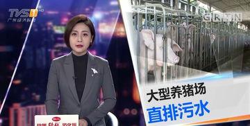 如何爆料今日一线,今日一线独家爆料追踪  第3张
