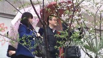 血色樱花土豆在线观看,浪漫复仇的奇幻之旅  第2张