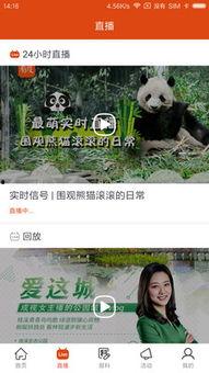 新闻爆料视频怎么做到的,揭秘新闻爆料视频制作背后的技巧与奥秘  第3张