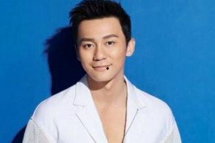 圈内人爆料张瀚,圈内人揭秘娱乐圈背后的故事  第3张