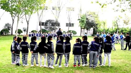 郑州小学爆料事件最新,揭开校园安全与管理的隐秘面纱 第3张 郑州小学爆料事件最新,揭开校园安全与管理的隐秘面纱 第3张