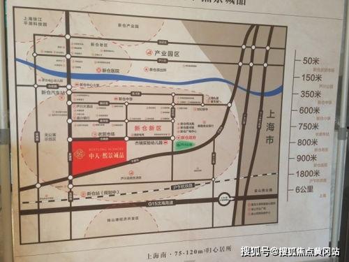 本地人爆料林越洲视频,本地人视角下的真实故事