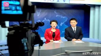 龙岗爆料新闻事件最新报道,最新进展揭秘事件真相