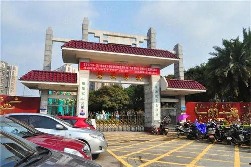 深圳宝安成哥最新爆料,深圳最新动态大曝光！