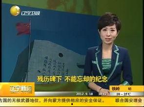 辽宁省新闻爆料热线电话,倾听民声，守护城市脉搏  第2张