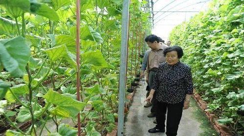 诸暨吃瓜网红事件是真的吗,真相揭秘还是网络炒作? 第2张 诸暨吃瓜网红事件是真的吗,真相揭秘还是网络炒作? 第2张