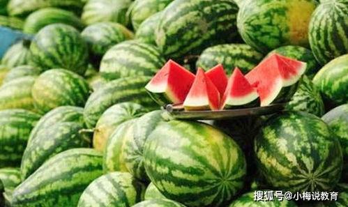达旗网红吃瓜,揭秘网络红人的幕后生活  第3张