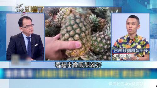 台湾凤梨爆料视频大全集,揭秘幕后真相与精彩瞬间  第3张