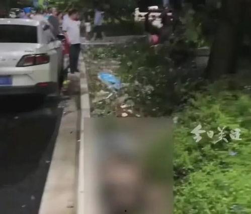 广东车祸最新爆料消息,多车连环相撞，事故原因及伤亡情况引关注  第3张