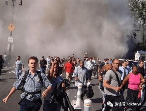 911娱乐吃瓜,一场娱乐圈的“吃瓜”盛宴  第3张
