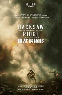 血战钢锯岭在线观看国语,英勇无畏，信仰铸就钢铁意志