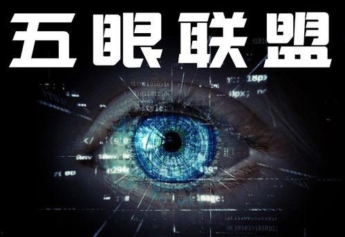 五眼联盟最新爆料  第3张