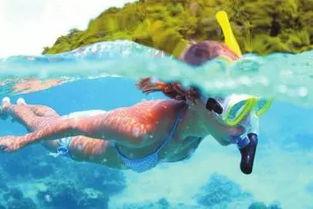 一线吃瓜海底见月免费阅读,免费畅读奇幻冒险之旅