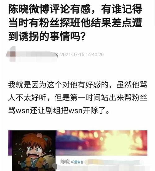 陈晓粉丝爆料视频,揭秘明星幕后生活片段  第2张