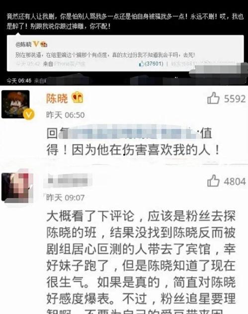 陈晓粉丝爆料视频,揭秘明星幕后生活片段  第3张