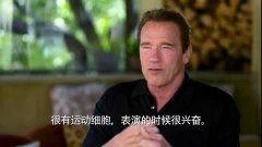 阿诺爆料视频大全集最新,揭秘幕后真相与精彩瞬间  第2张