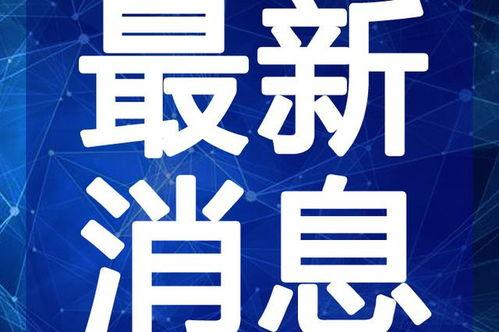 小鹏语录爆料最新视频,科技与智慧的碰撞