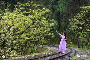 风景视频爆料大全,风景视频爆料大全精选集锦