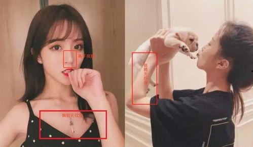 可莉爆料视频在线观看,独家内容抢先看  第3张