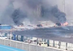 爆料赶海直播现场视频,揭秘海洋宝藏的惊心动魄瞬间 第3张 爆料赶海直播现场视频,揭秘海洋宝藏的惊心动魄瞬间 第3张