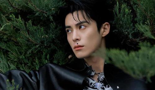 内娱大瓜爆料王鹤棣视频,内娱大瓜背后的真相揭秘 第3张 内娱大瓜爆料王鹤棣视频,内娱大瓜背后的真相揭秘 第3张