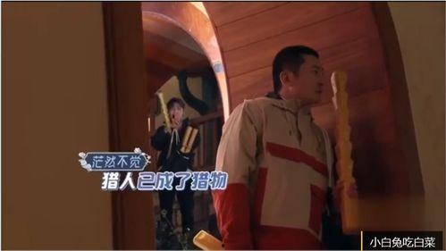 飞哥爆料蛋叔视频完整版,蛋叔视频完整版背后的惊人真相