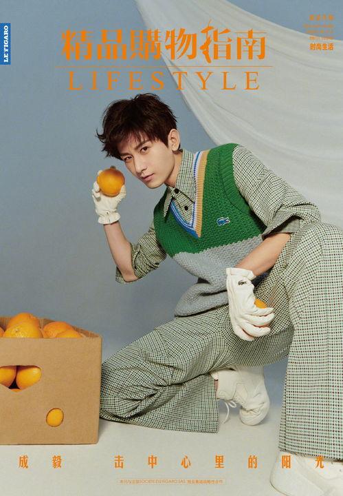 成毅 最新 大爆料图片,揭秘娱乐圈不为人知的幕后故事  第3张