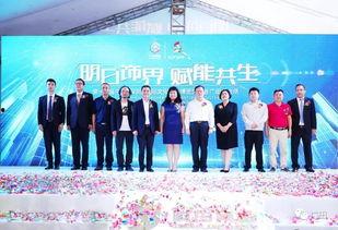 广田股份爆料新闻视频,公司内幕大曝光 第3张 广田股份爆料新闻视频,公司内幕大曝光 第3张