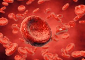 血液 在线观看,在线观看揭示生命之源  第3张