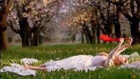 捷克电影野花在线观看,探寻捷克电影中的自然与人性  第2张