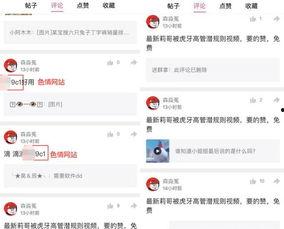 视频爆料规则最新,合规发布，守护网络空间清朗