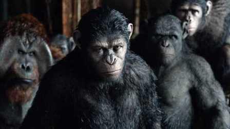 猩球崛起2在线观看免费,黎明之战免费在线观看：猿族崛起，人类危机四伏