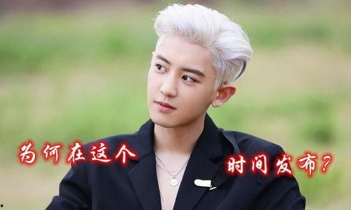 爆料韩国娱乐圈朴灿烈,韩国娱乐圈的璀璨明星  第3张