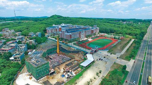 儋州爆料新闻最新情况今天,突发事件引发关注，真相即将揭晓！  第3张