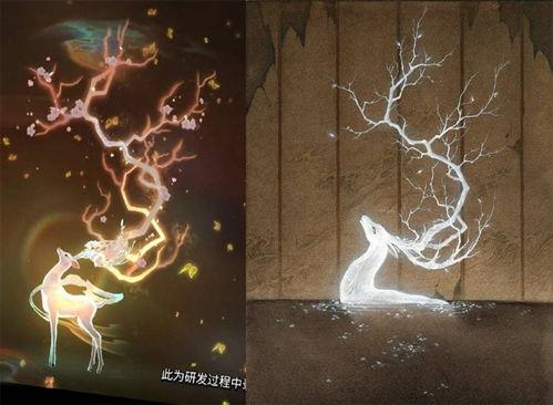 新皮肤爆料最新镜头视频,镜头视频揭秘神秘视觉盛宴