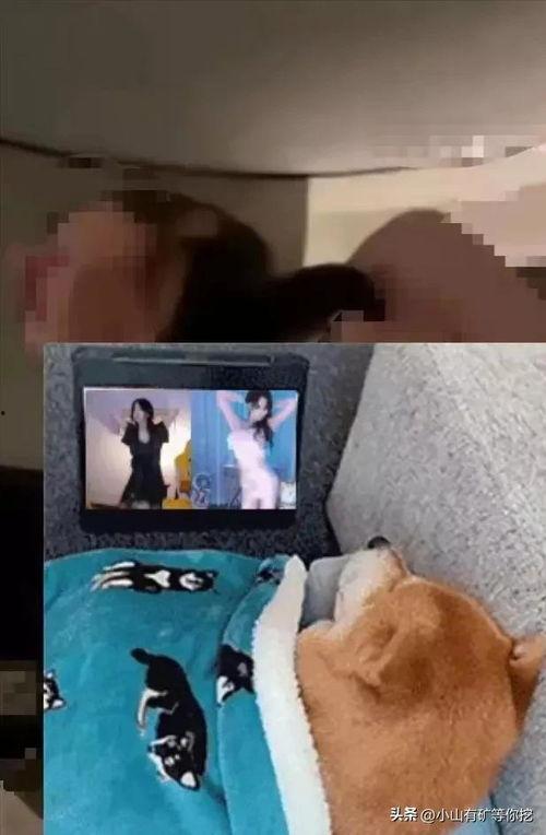 天津爆料小伙视频播放全集,揭秘事件背后真相  第2张