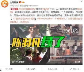 城市之声爆料视频完整版,爆料视频完整版深度解析  第2张