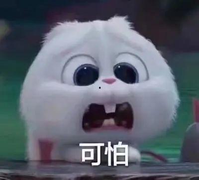 康县网红 吃瓜事件真相,真相背后的网络风波  第2张