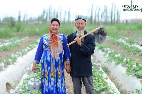 贵族吃瓜小说免费阅读,宫廷秘闻，瓜田乱舞，免费畅读