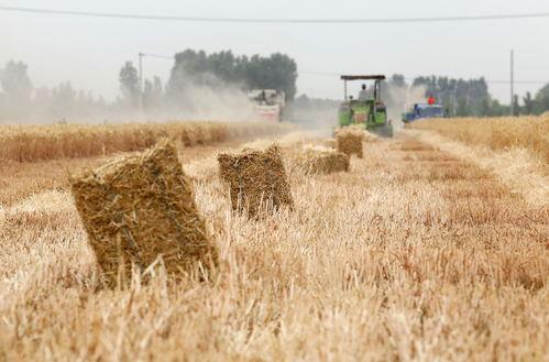 行唐县北高里新闻爆料,揭秘北高里社区发展新动态  第2张