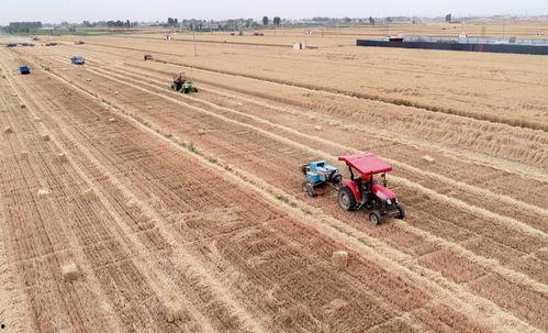 行唐县北高里新闻爆料,揭秘北高里社区发展新动态  第3张