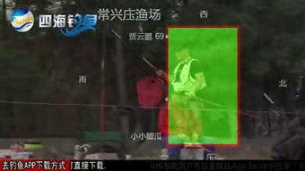 黑坑江湖爆料视频播放下载,揭秘视频播放下载背后的江湖风云