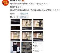 黑料爆料站最新信息网,揭秘娱乐圈最新猛料，真相尽在此处