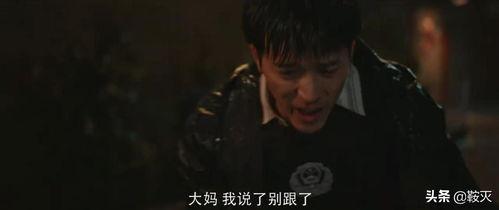 白鹿资讯爆料最新消息,最新热点事件深度解析  第3张