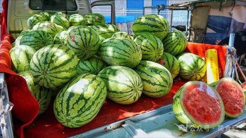 郴州网红吃瓜事件真相,真相背后的网络狂欢与反思  第2张