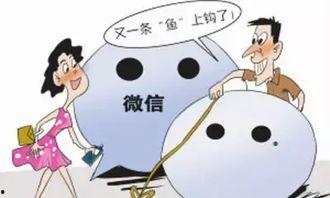 如何爆料骗局案件最新,最新爆料追踪与防范攻略  第3张