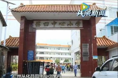 仁怀八中校园爆料视频曝光,揭秘校园生活幕后真相